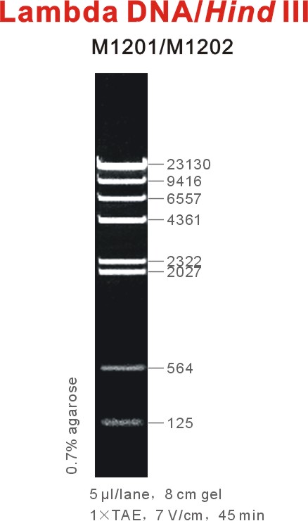 6449efc9ceb49