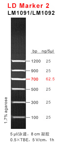 66aaf17a7ac3c