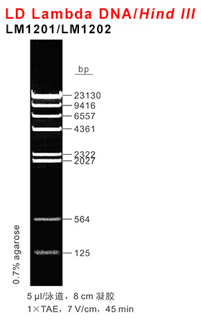 66aaf17d21905