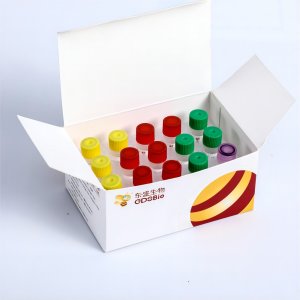 DNA Methylation Library Prep Kit for Illumina KE005-A KE005-B