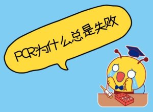 PCR為什么總是失敗？——5個常見原因與解決辦法