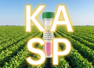 KASP基因分型产品选购指南