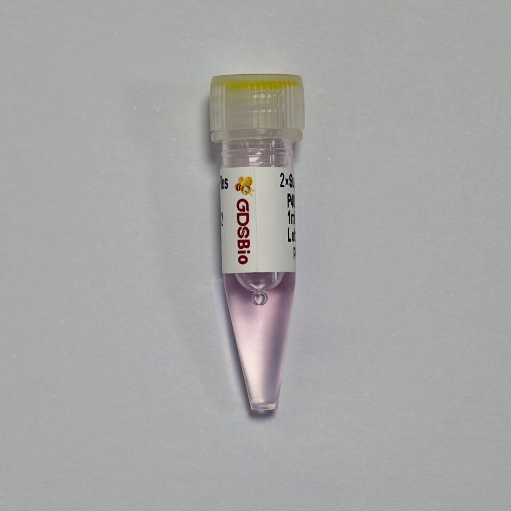 Super KP PCR Master MixPlus (Low ROX+) P4051/P4052