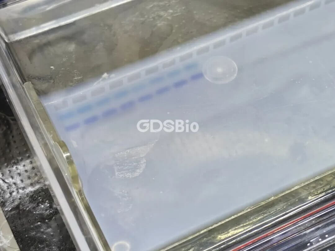 640-4