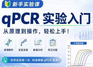实验新手课｜qPCR是什么？从PCR到实时荧光定量PCR