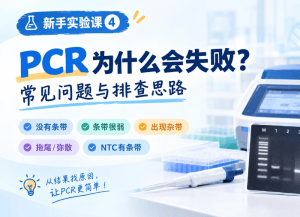新手实验课｜PCR为什么会失败？常见问题与排查思路
